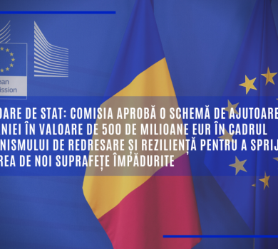 CE aprobă o schemă de ajutoare a RO în val. de 500 de milioane EUR ptr. a sprijini crearea de noi suprafețe împădurite