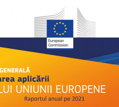 Aplicarea dreptului UE: respectarea drepturilor, a libertăților fundamentale și a statului de drept