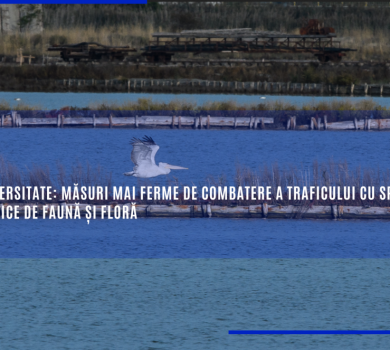 Măsuri mai ferme de combatere a traficului cu specii sălbatice de faună și floră