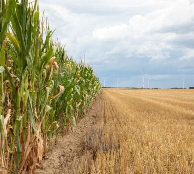 Președinta Comisiei Europene, Ursula von der Leyen, lansează dialogul strategic privind viitorul agriculturii UE