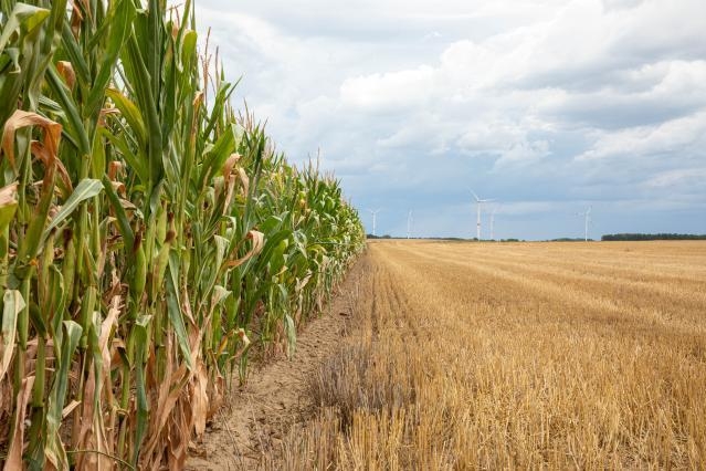 Președinta Comisiei Europene, Ursula von der Leyen, lansează dialogul strategic privind viitorul agriculturii UE