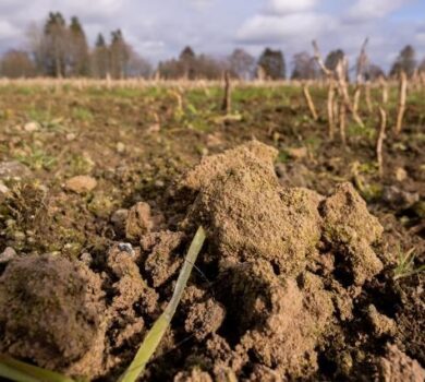 Fermierii europeni exceptați de la normele privind terenurile lăsate în pârloagă