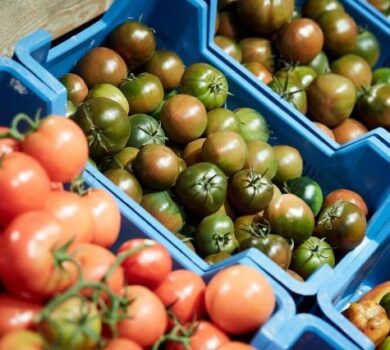 Comisia aprobă modificarea unei scheme de ajutor de stat din România pentru sprijinirea producătorilor de tomate și usturoi
