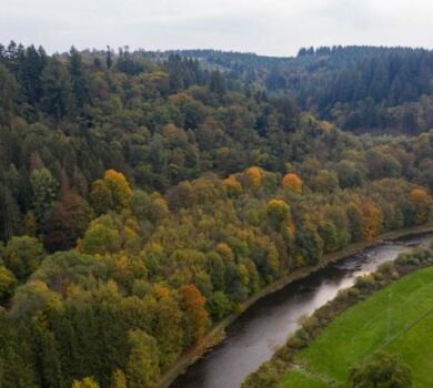 UE investește peste 380 de milioane EUR în 133 de noi proiecte LIFE pentru a sprijini tranziția verde în întreaga Europă