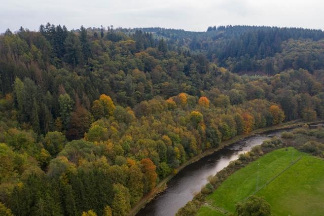 UE investește peste 380 de milioane EUR în 133 de noi proiecte LIFE pentru a sprijini tranziția verde în întreaga Europă