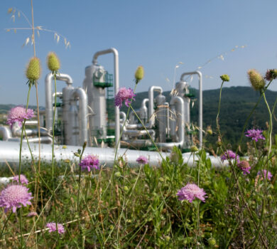 UE convine asupra unui obiectiv climatic pentru 2040 care stabilește o cale clară către o economie decarbonizată și competitivă